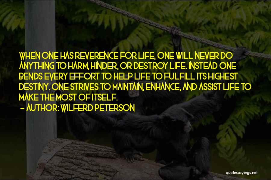 Make The Most Quotes By Wilferd Peterson