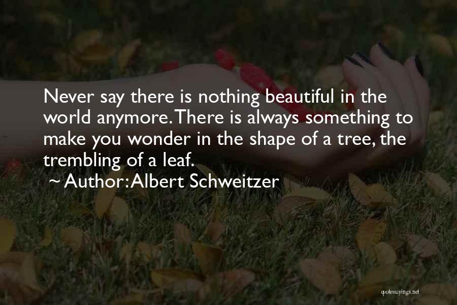Make The World Beautiful Quotes By Albert Schweitzer