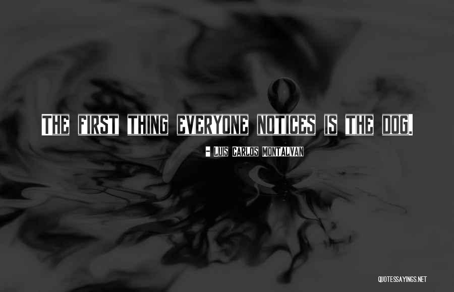 Make Today Count Quotes By Luis Carlos Montalvan
