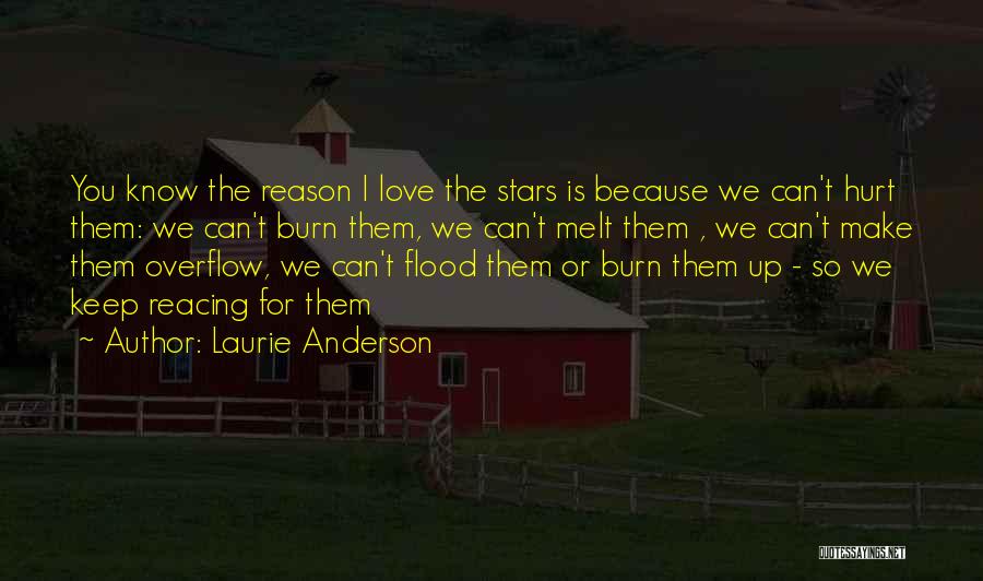 Make You Melt Quotes By Laurie Anderson