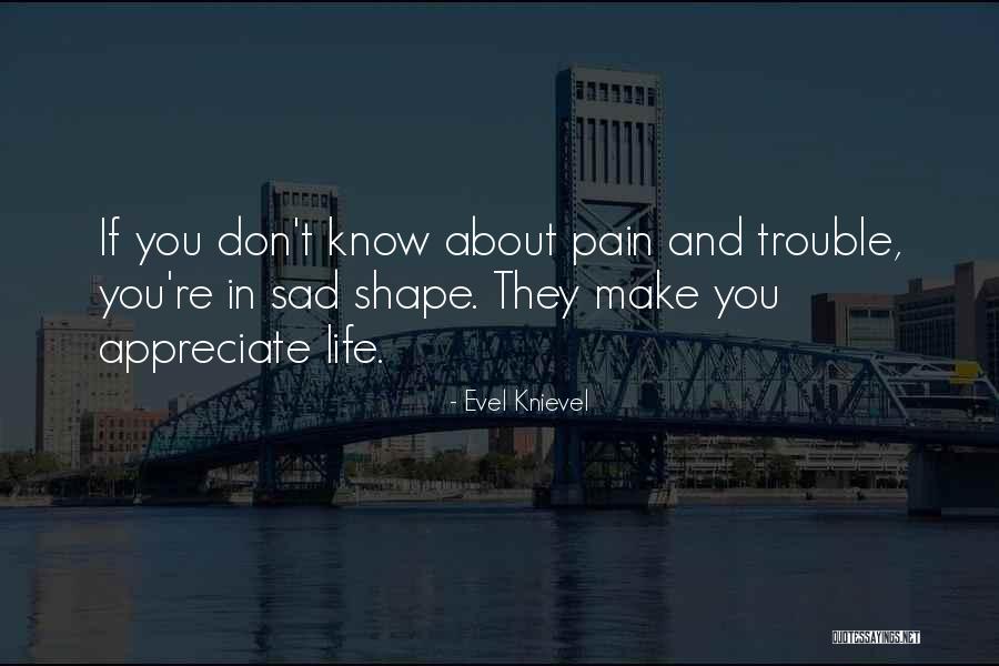 Make You Sad Quotes By Evel Knievel Make You Sad Quotes By Evel Knievel