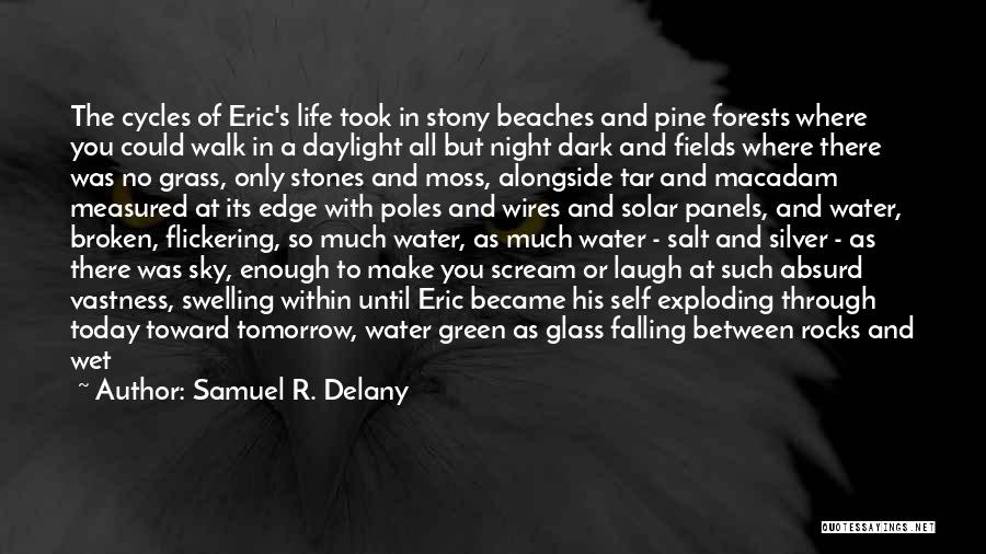 Make You Wet Quotes By Samuel R. Delany