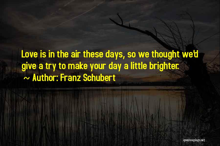 Make Your Day Brighter Quotes By Franz Schubert