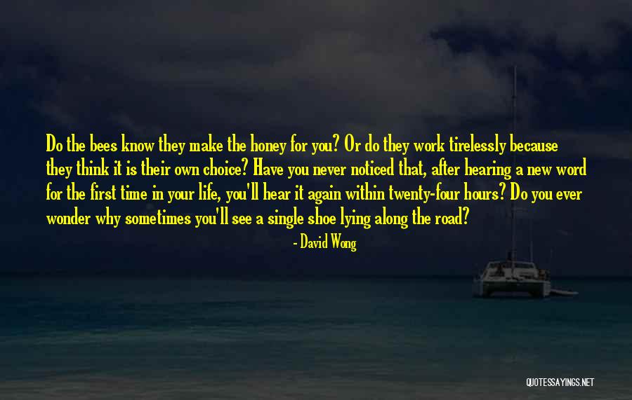 Make Your Own Choice Quotes By David Wong