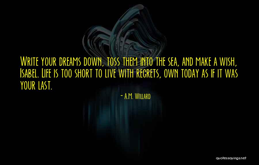 Make Your Own Dreams Quotes By A.M. Willard