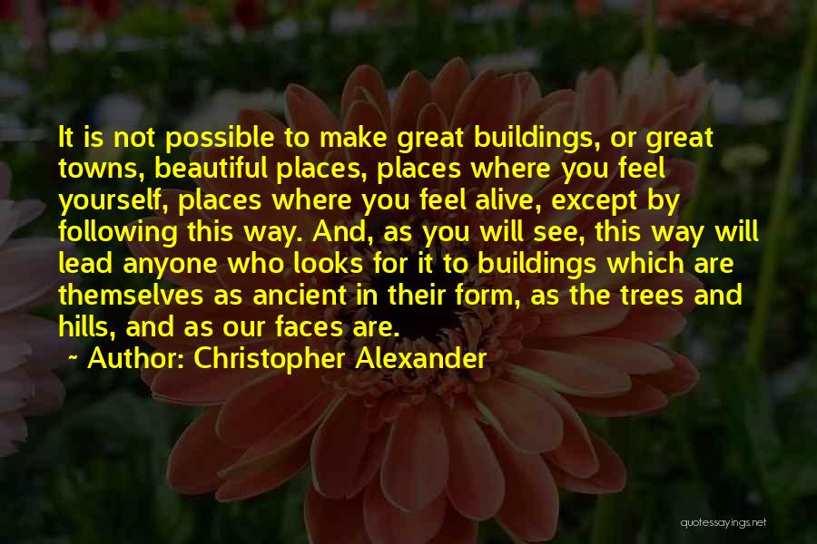 Make Yourself Beautiful Quotes By Christopher Alexander