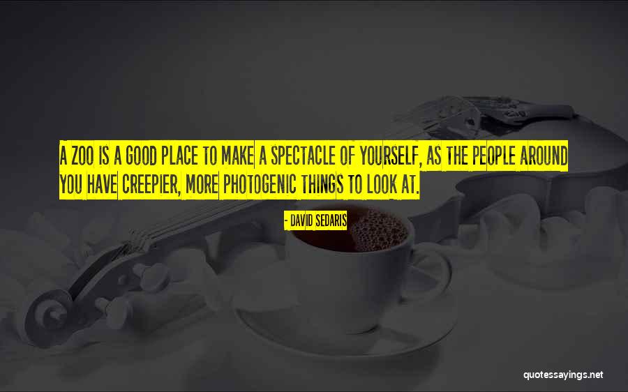 Make Yourself Look Good Quotes By David Sedaris Make Yourself Look Good Quotes By David Sedaris
