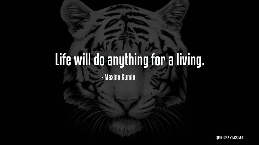 Makeers Quotes By Maxine Kumin Makeers Quotes By Maxine Kumin