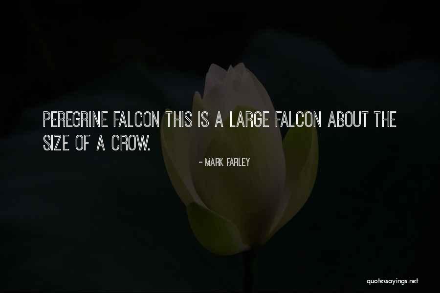 Makenna Quotes By Mark Farley Makenna Quotes By Mark Farley