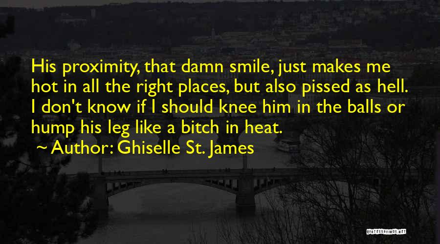 Makes Me Smile Quotes By Ghiselle St. James