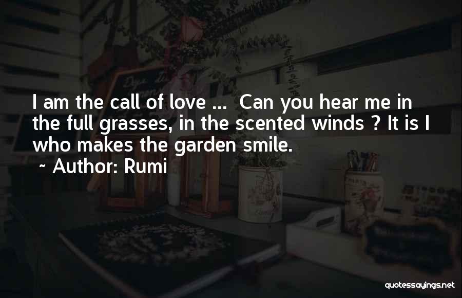 Makes Me Smile Quotes By Rumi