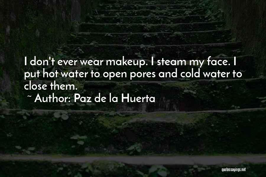 Makeup Quotes By Paz De La Huerta