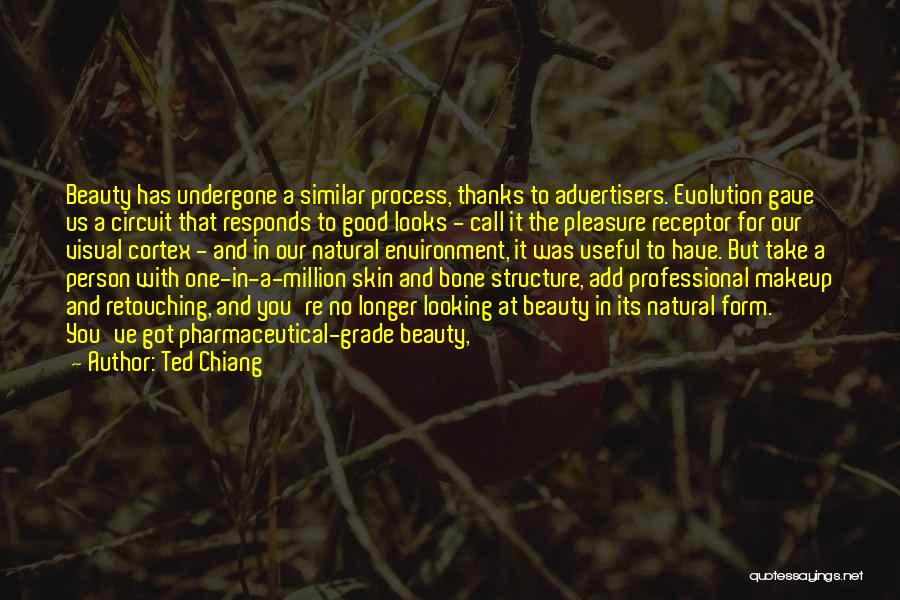 Makeup Quotes By Ted Chiang