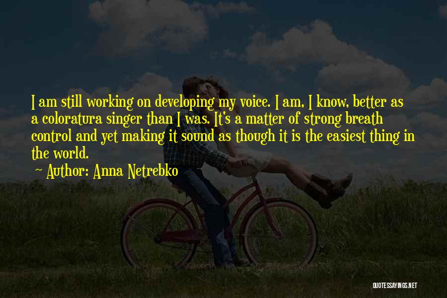 Making A Better World Quotes By Anna Netrebko