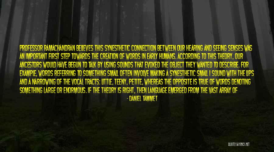 Making A Connection Quotes By Daniel Tammet Making A Connection Quotes By Daniel Tammet