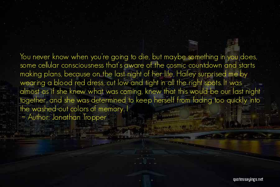 Making A Memory Quotes By Jonathan Tropper