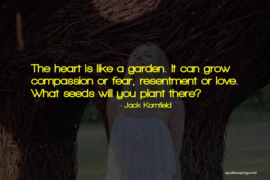 Making A Mistake And Learning From It Quotes By Jack Kornfield