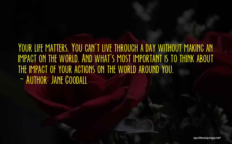 Making An Impact On The World Quotes By Jane Goodall