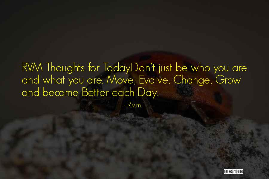 Making Change For The Better Quotes By R.v.m.