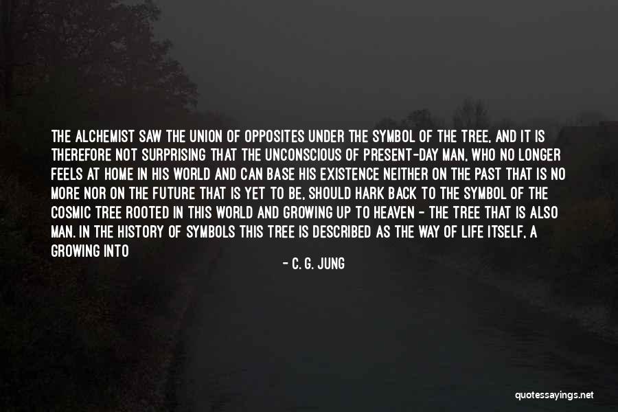 Making Change In The World Quotes By C. G. Jung Making Change In The World Quotes By C. G. Jung