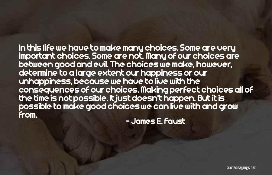 Making Choices In Life Quotes By James E. Faust