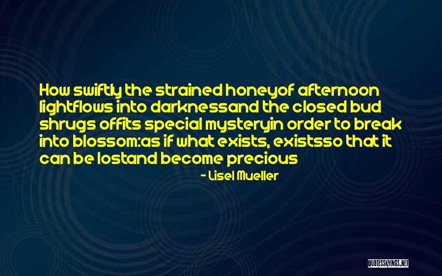 Making Decisions As A Couple Quotes By Lisel Mueller Making Decisions As A Couple Quotes By Lisel Mueller