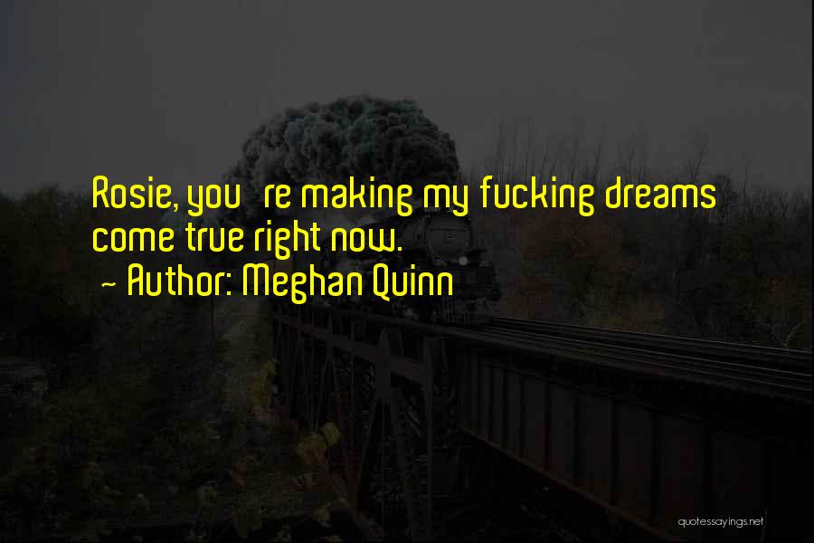 Making Dreams Come True Quotes By Meghan Quinn