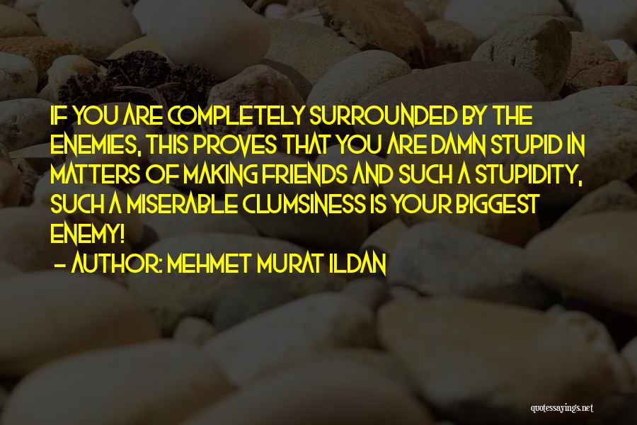 Making Friends With Enemies Quotes By Mehmet Murat Ildan