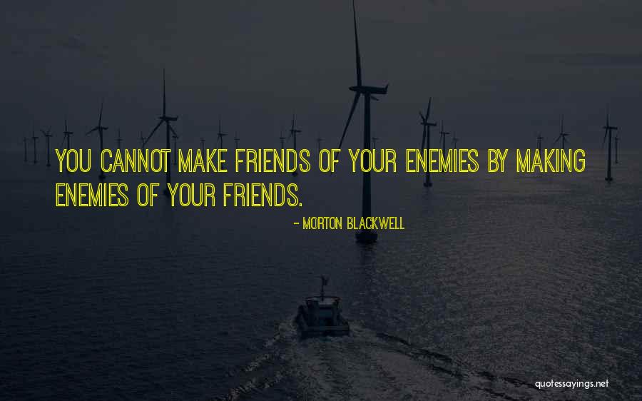 Making Friends With Enemies Quotes By Morton Blackwell