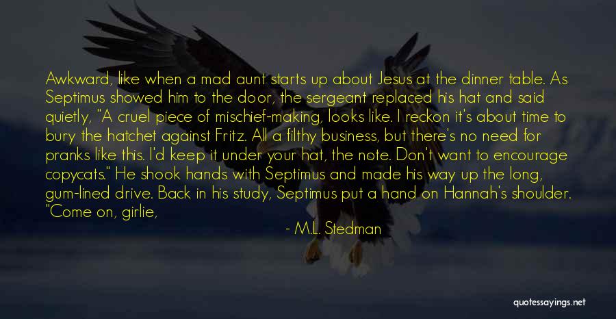 Making Him Want You Quotes By M.L. Stedman