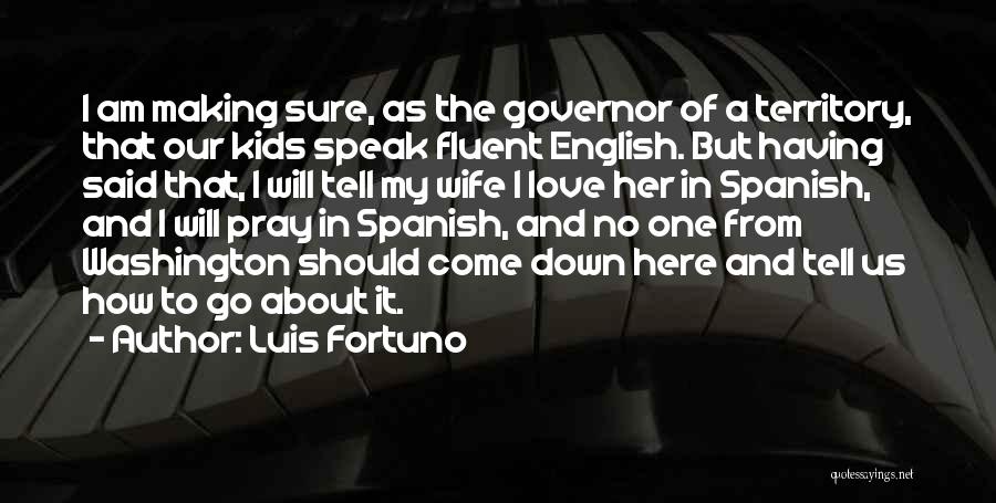 Making Love To Your Wife Quotes By Luis Fortuno