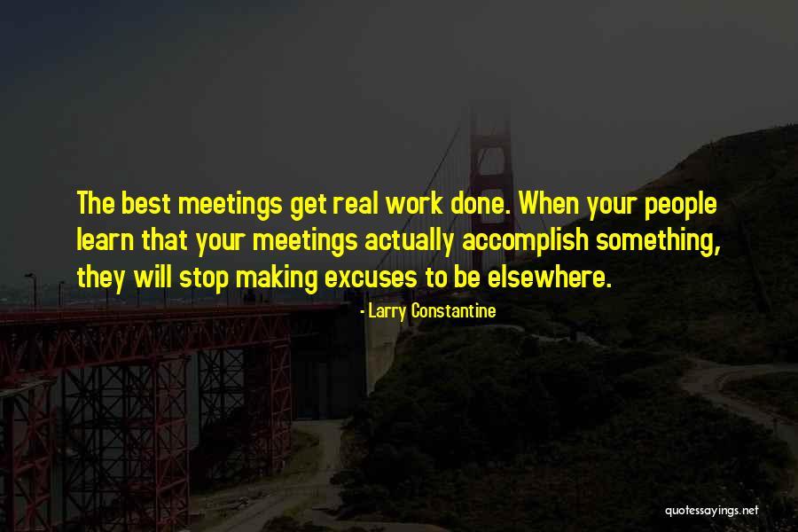 Making Something Work Quotes By Larry Constantine