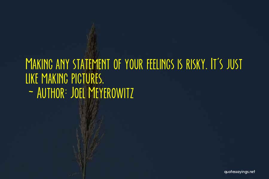 Making Statements Quotes By Joel Meyerowitz