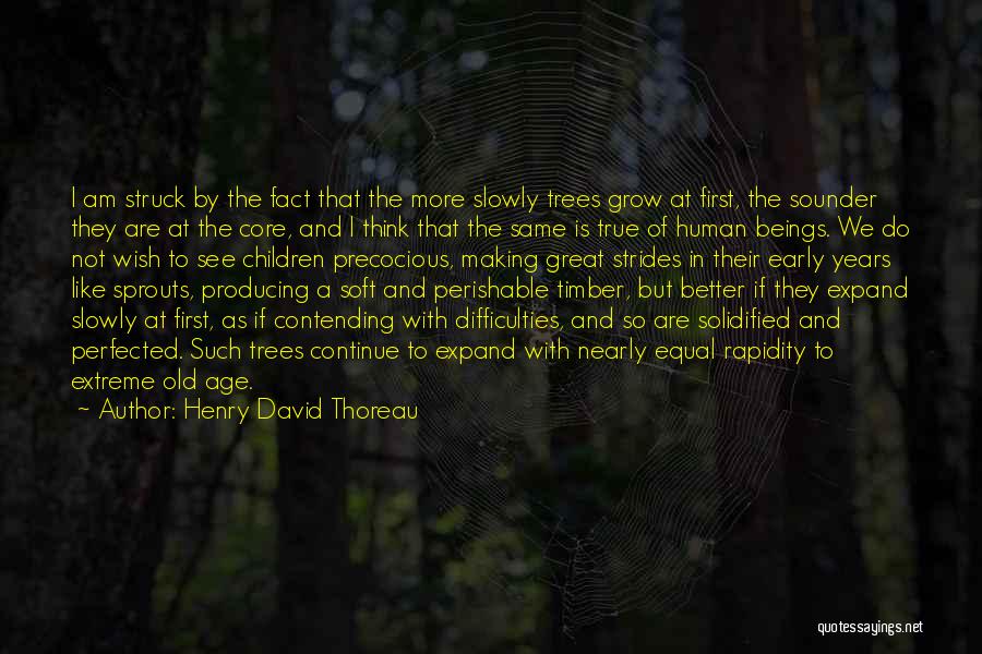 Making Strides Quotes By Henry David Thoreau