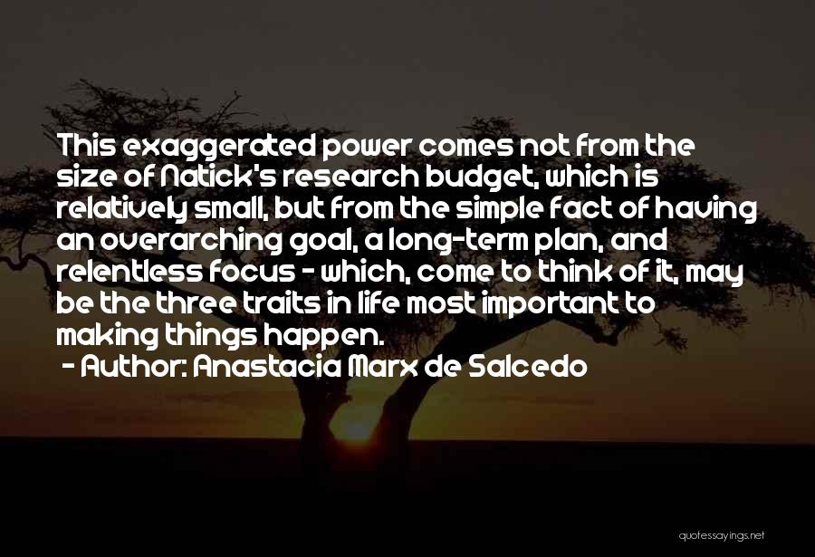 Making Things Happen In Life Quotes By Anastacia Marx De Salcedo