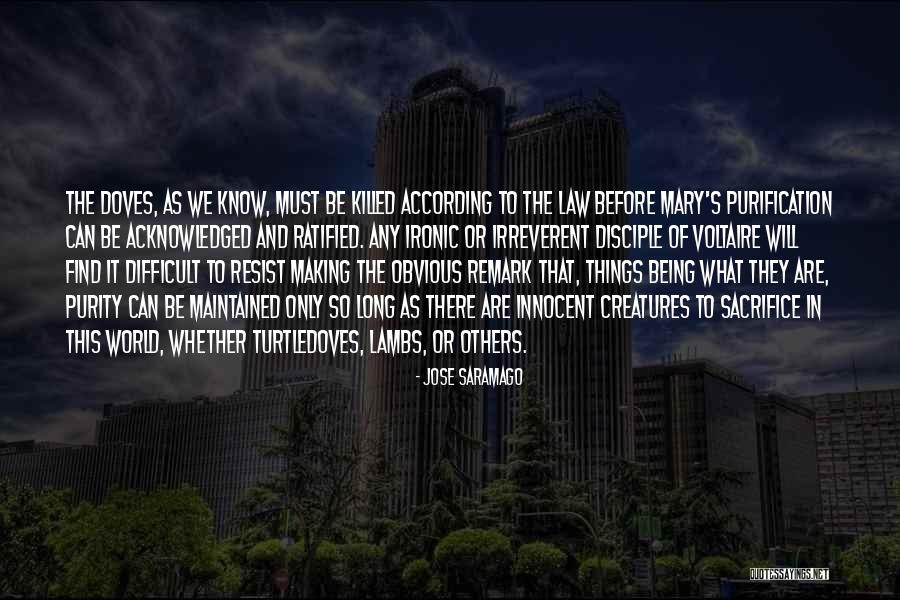Making Things Obvious Quotes By Jose Saramago Making Things Obvious Quotes By Jose Saramago