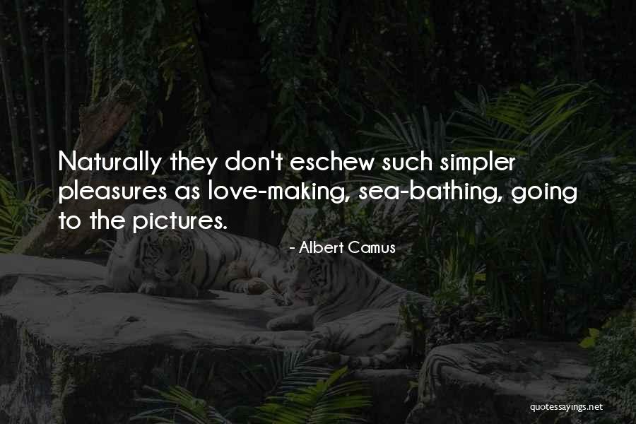 Making Things Simpler Quotes By Albert Camus