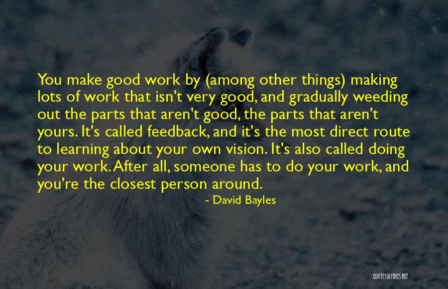 Making Things Work Quotes By David Bayles