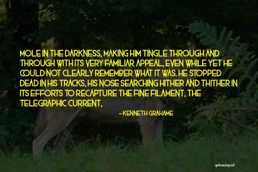 Making Tracks Quotes By Kenneth Grahame Making Tracks Quotes By Kenneth Grahame