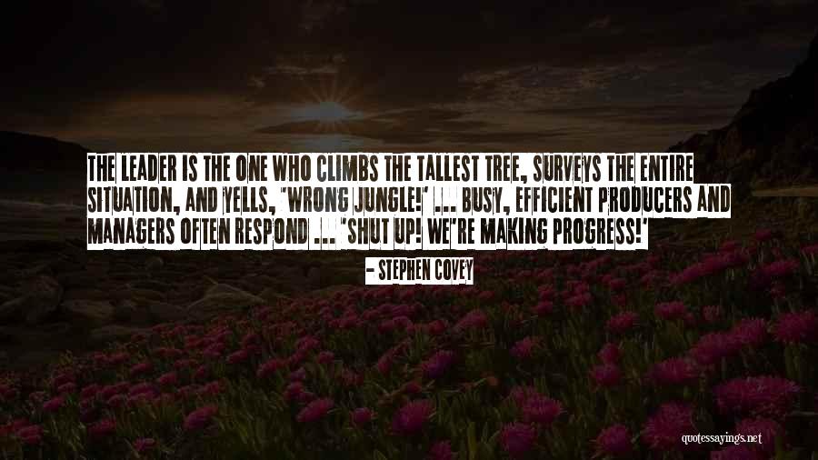 Making Up Quotes By Stephen Covey