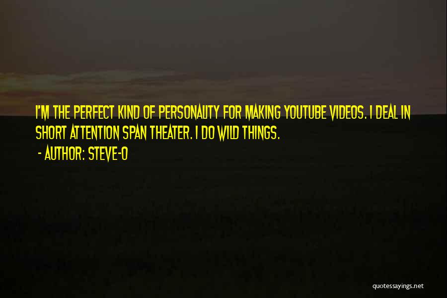 Making Videos Quotes By Steve-O