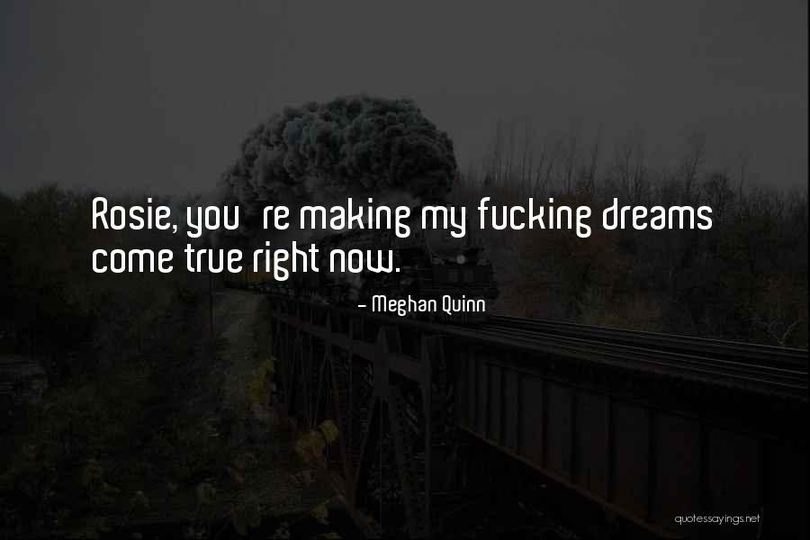 Making Your Dreams Come True Quotes By Meghan Quinn