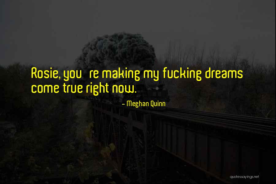 Making Your Own Dreams Come True Quotes By Meghan Quinn