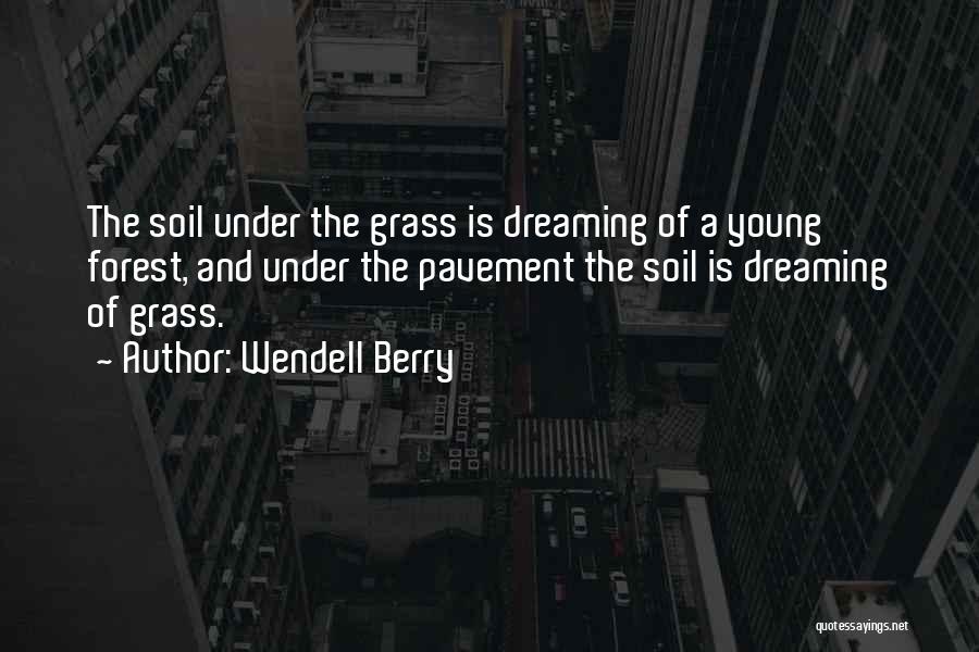 Makitatrimmer Quotes By Wendell Berry