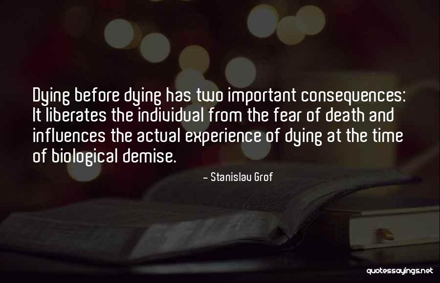 Makki Tv Quotes By Stanislav Grof Makki Tv Quotes By Stanislav Grof