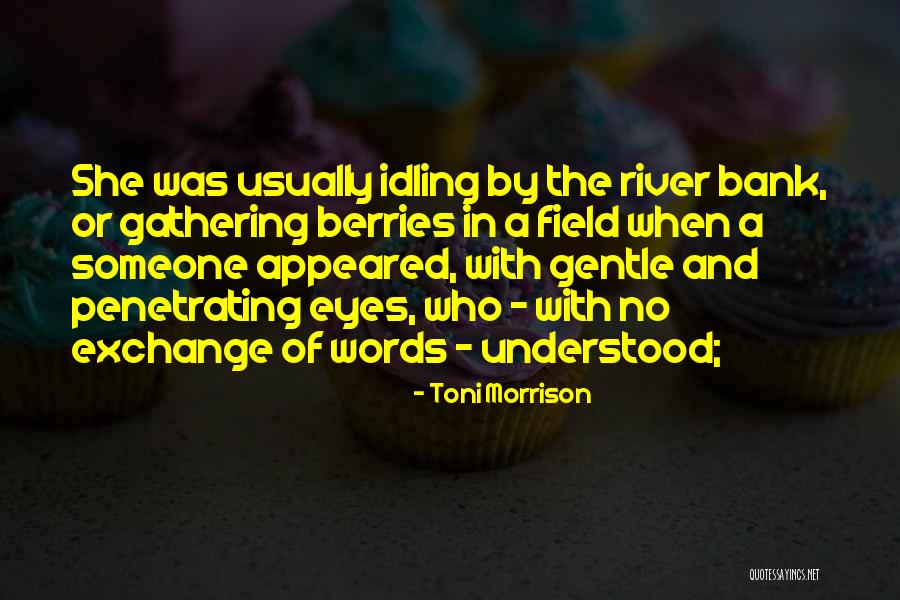 Maksim Mrvica Quotes By Toni Morrison Maksim Mrvica Quotes By Toni Morrison