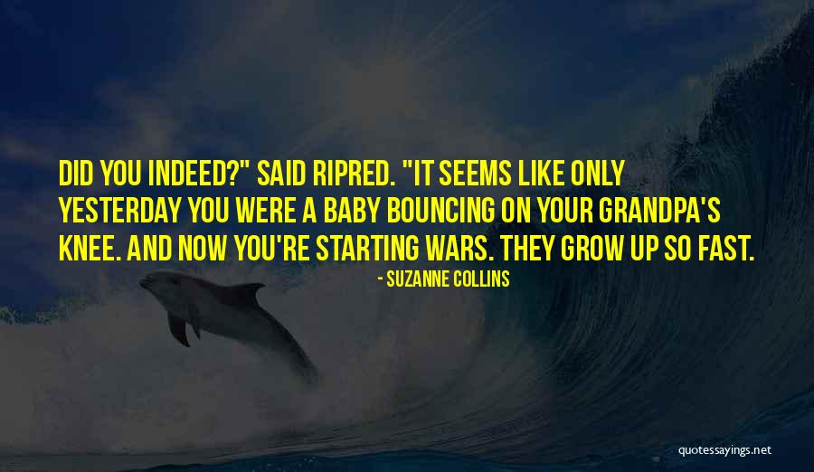 Malabanan Contact Quotes By Suzanne Collins Malabanan Contact Quotes By Suzanne Collins
