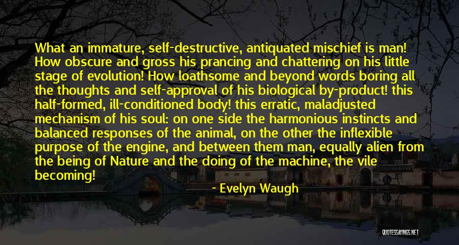 Maladjusted Quotes By Evelyn Waugh