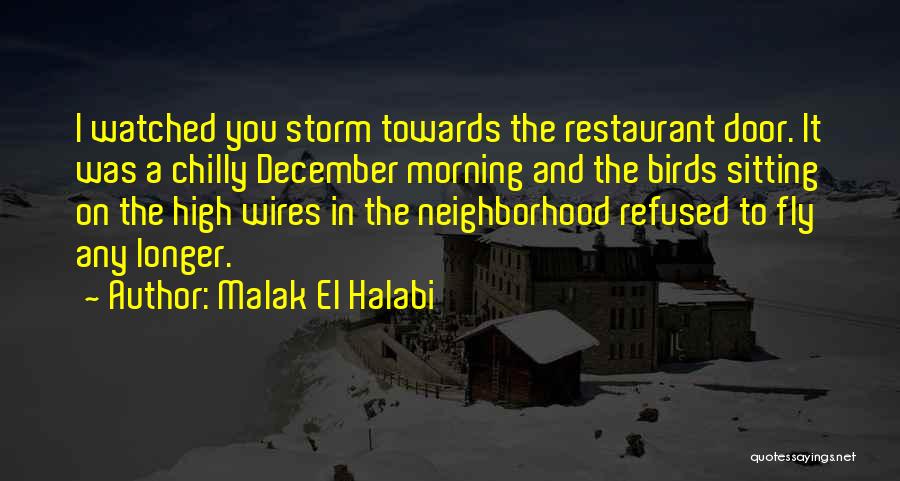 Malak El Halabi Quotes 1611591