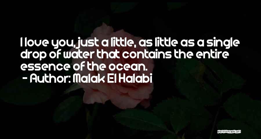 Malak El Halabi Quotes 885466